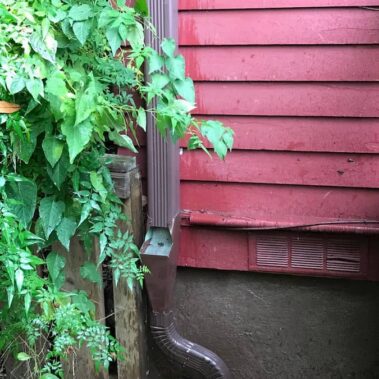 Brown downspout with cleanout access installed near garden vegetation, demonstrating Royal Gutters' plant-friendly drainage solution on red siding