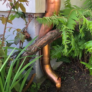 Round copper downspout with natural patina, harmoniously integrated into garden landscape with ferns and native plants