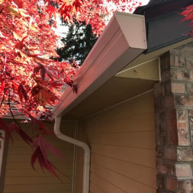 Royal Gutters' white bead fascia gutter installation showcasing premium corner detail and maple tree integration. Portland experts: 503-558-8700