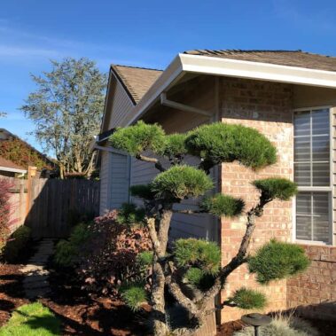 Craftsman bottom gutter with square downspout installed on brick home, featuring clean white trim and professional integration with existing landscaping